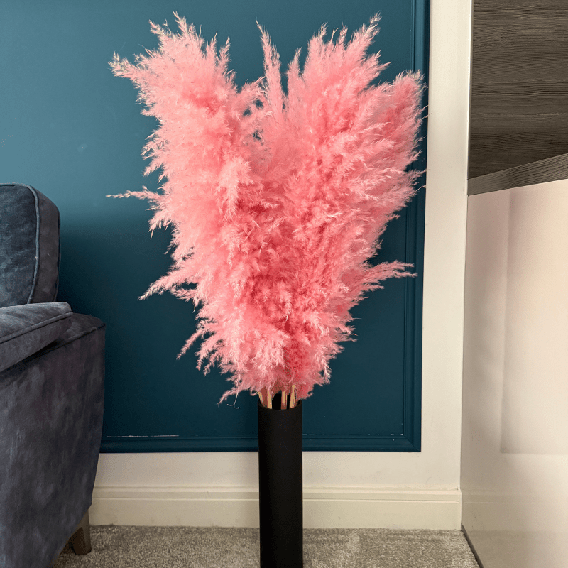 XL Extra Fluffy Pampas Grass In Pink - Pampas Tallo