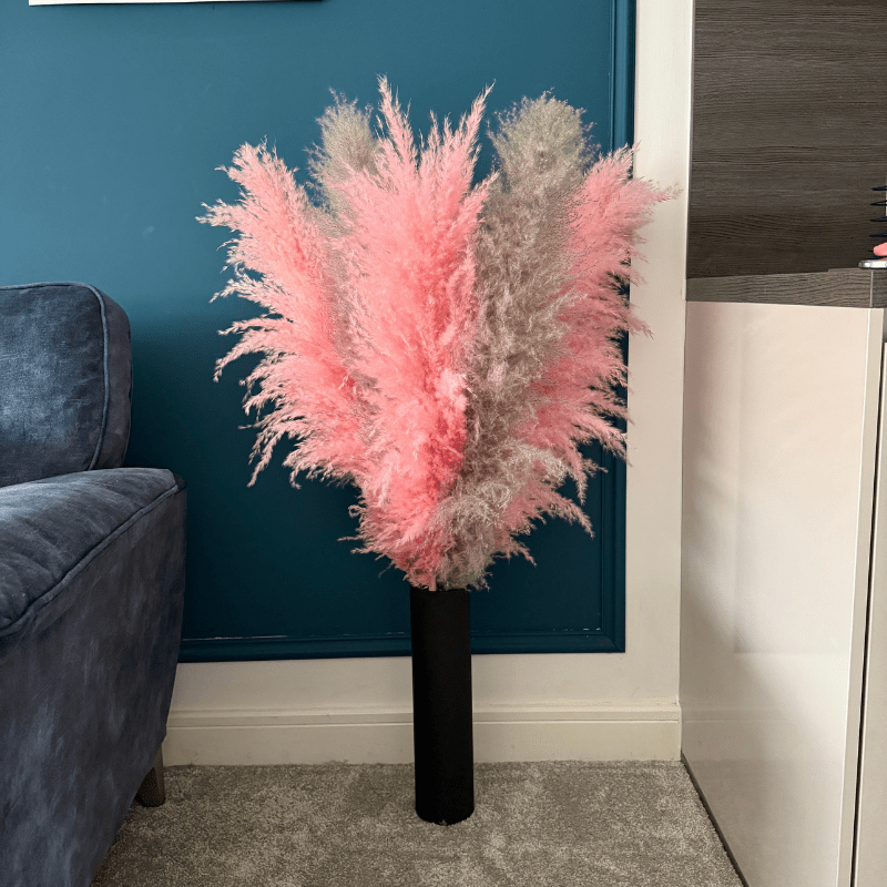 XL Extra Fluffy Pampas Grass In Pink & Grey - Pampas Tallo