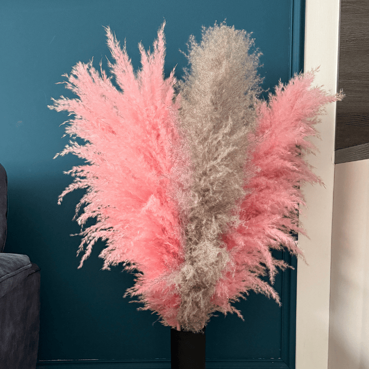 XL Extra Fluffy Pampas Grass In Pink & Grey - Pampas Tallo