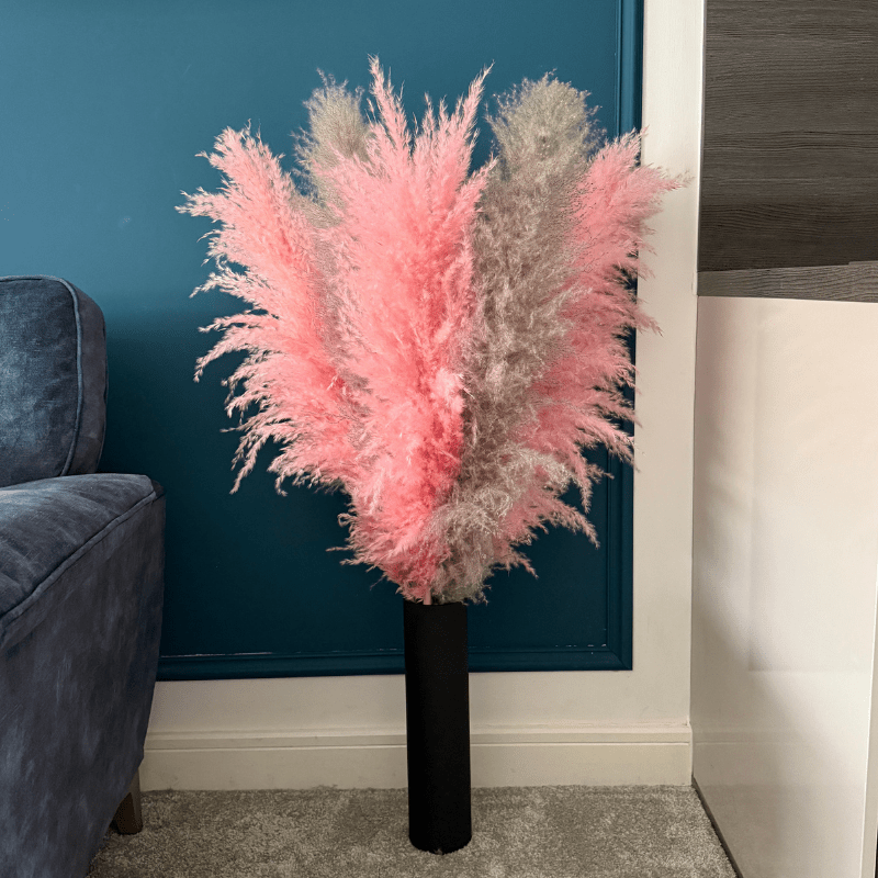 XL Extra Fluffy Pampas Grass In Pink & Grey - Pampas Tallo