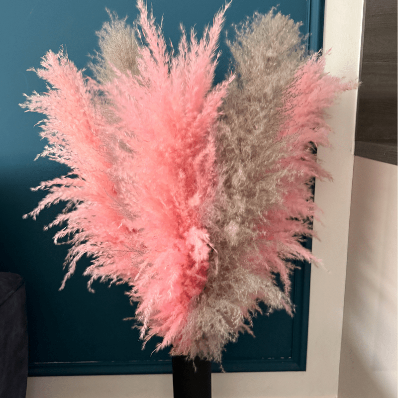 XL Extra Fluffy Pampas Grass In Pink & Grey - Pampas Tallo