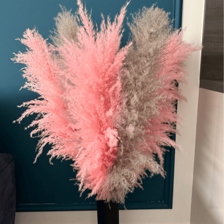 XL Extra Fluffy Pampas Grass In Pink & Grey - Pampas Tallo