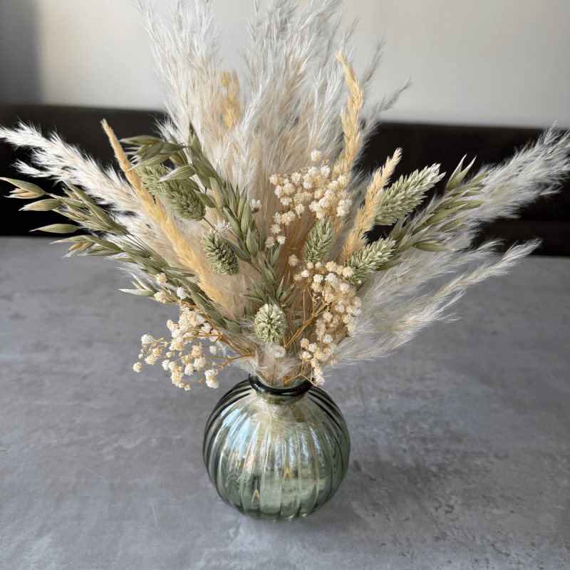 Zola Dried Flower Arrangement In Natural Green & Cream - Pampas Tallo