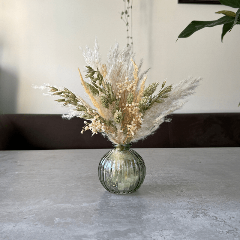 Zola Dried Flower Arrangement In Natural Green & Cream - Pampas Tallo