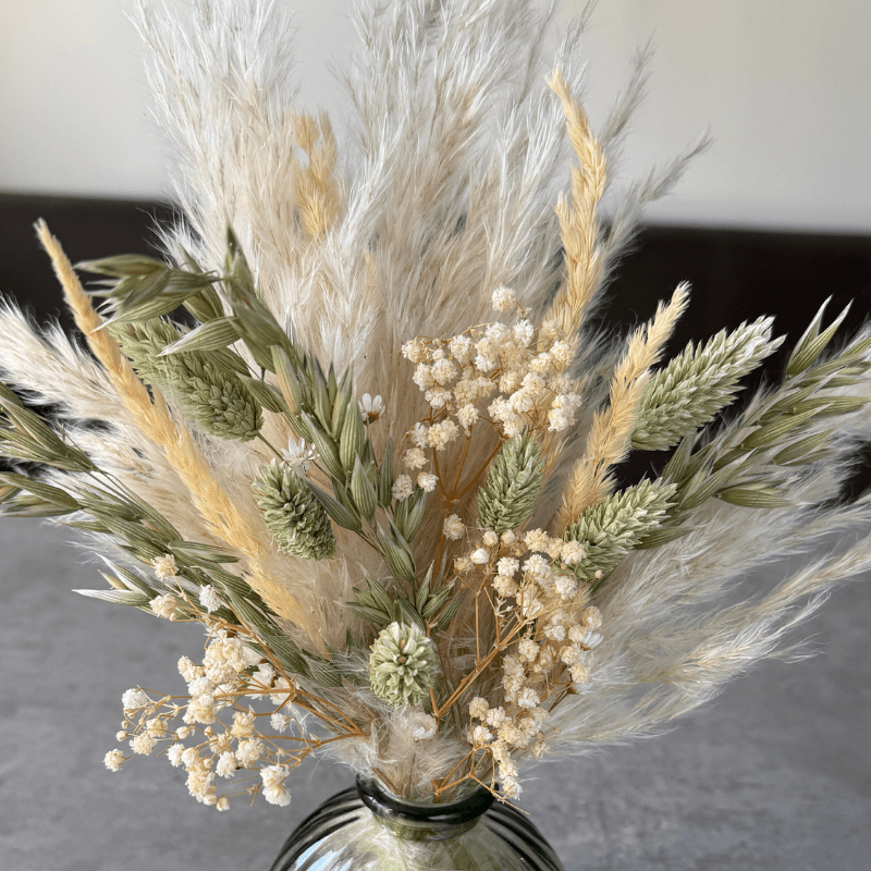 Zola Dried Flower Arrangement In Natural Green & Cream - Pampas Tallo