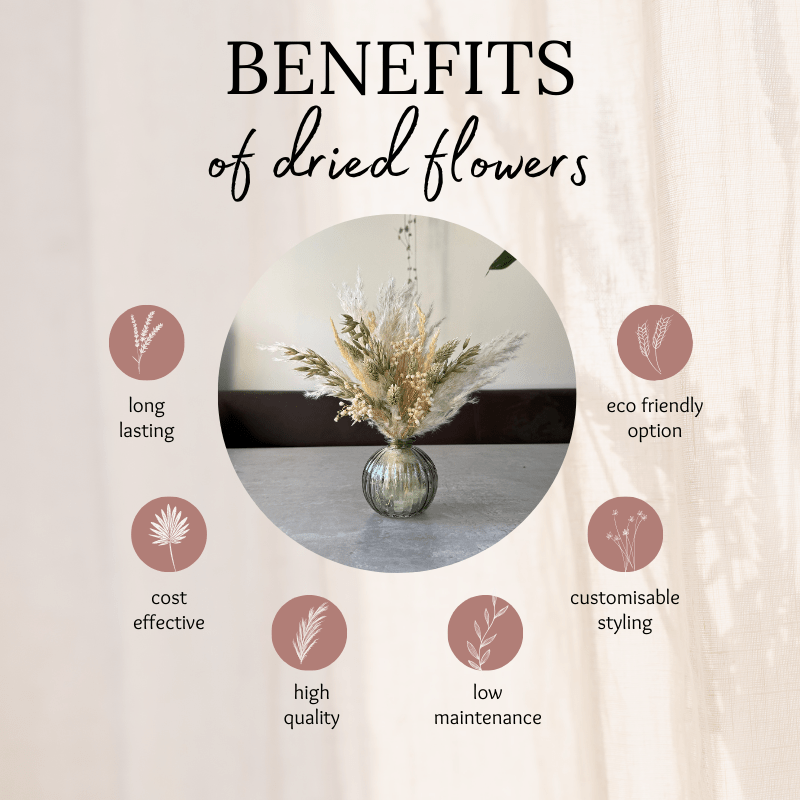 Zola Dried Flower Arrangement In Natural Green & Cream - Pampas Tallo