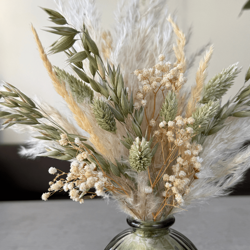 Zola Dried Flower Arrangement In Natural Green & Cream - Pampas Tallo