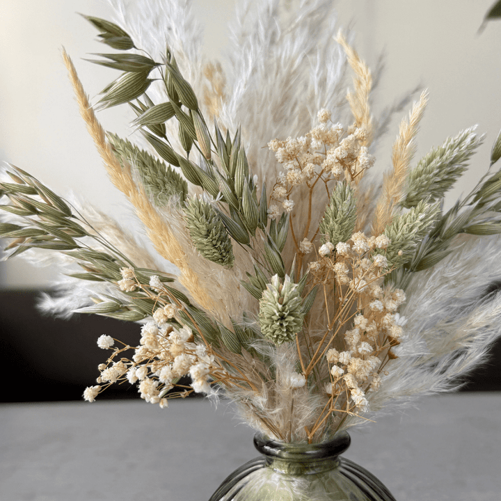 Zola Dried Flower Arrangement In Natural Green & Cream - Pampas Tallo