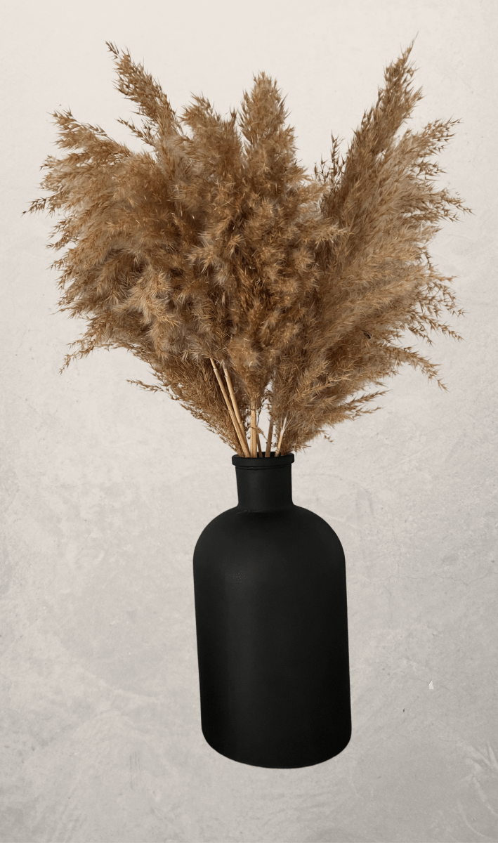Fluffy Pampas Grass In Natural Nude Brown - Pampas Tallo